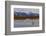 North America, the Usa, Alaska, Two Trumpet Player's Swans,-Bernd Rommelt-Framed Photographic Print