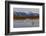 North America, the Usa, Alaska, Two Trumpet Player's Swans,-Bernd Rommelt-Framed Photographic Print