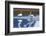 North America, the Usa, Alaska, Two Trumpet Player's Swans,-Bernd Rommelt-Framed Photographic Print