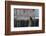 North America, the Usa, Alaska, White Head Lake Eagle,-Bernd Rommelt-Framed Photographic Print