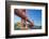 North America, USA, America, California, San Francisco, Golden gate bridge-Jordan Banks-Framed Photographic Print