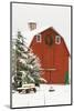 North America, USA, WA, Whidbey Island. Festive red barn in fresh snow-Trish Drury-Mounted Photographic Print