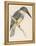 North American Belted Kingfisher-Reverend Francis O. Morris-Framed Stretched Canvas