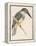 North American Belted Kingfisher-Reverend Francis O. Morris-Framed Stretched Canvas