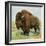 North American Bison on the Great Plains-null-Framed Giclee Print