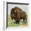 North American Bison on the Great Plains-null-Framed Giclee Print