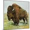 North American Bison on the Great Plains-null-Mounted Giclee Print