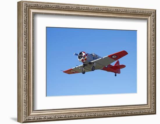 North American Harvard, or T-6 Texan, or SNJ, War Plane-David Wall-Framed Photographic Print