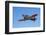 North American Harvard, or T-6 Texan, or SNJ, War Plane-David Wall-Framed Photographic Print