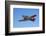 North American Harvard, or T-6 Texan, or SNJ, War Plane-David Wall-Framed Photographic Print