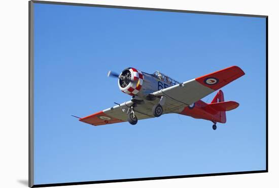 North American Harvard, or T-6 Texan, or SNJ, War Plane-David Wall-Mounted Photographic Print