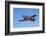 North American Harvard, or T-6 Texan, or SNJ, War Plane-David Wall-Framed Photographic Print