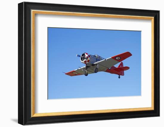 North American Harvard, or T-6 Texan, or SNJ, War Plane-David Wall-Framed Photographic Print