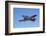 North American Harvard, or T-6 Texan, or SNJ, War Plane-David Wall-Framed Photographic Print