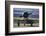 North American Harvard, or T-6 Texan, or SNJ, War Plane-David Wall-Framed Photographic Print