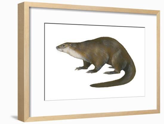 North American River Otter (Lutra Canadensis), Weasel, Mammals-Encyclopaedia Britannica-Framed Art Print