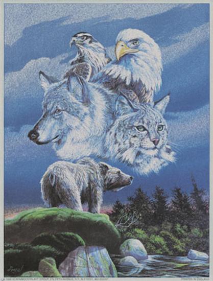 North American Wildlife Art Print by Gary Ampel | Art.com