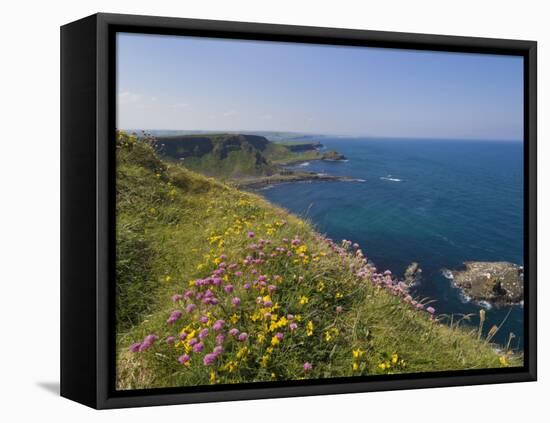 North Antrim Coast Path to the Giant's Causeway, County Antrim, Ulster, Northern Ireland, UK-Neale Clarke-Framed Premier Image Canvas