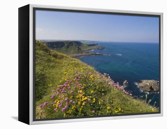 North Antrim Coast Path to the Giant's Causeway, County Antrim, Ulster, Northern Ireland, UK-Neale Clarke-Framed Premier Image Canvas