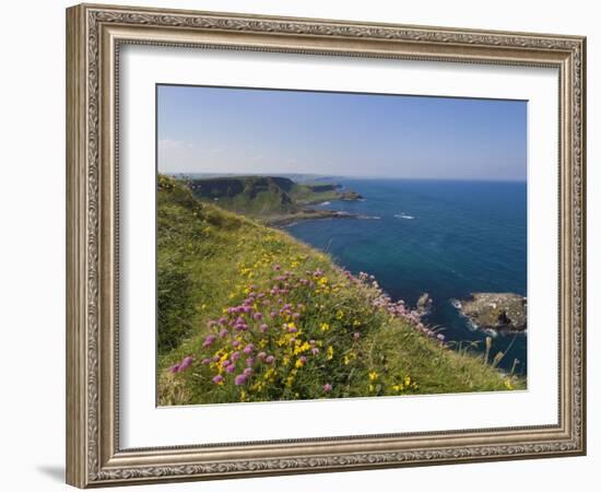 North Antrim Coast Path to the Giant's Causeway, County Antrim, Ulster, Northern Ireland, UK-Neale Clarke-Framed Photographic Print