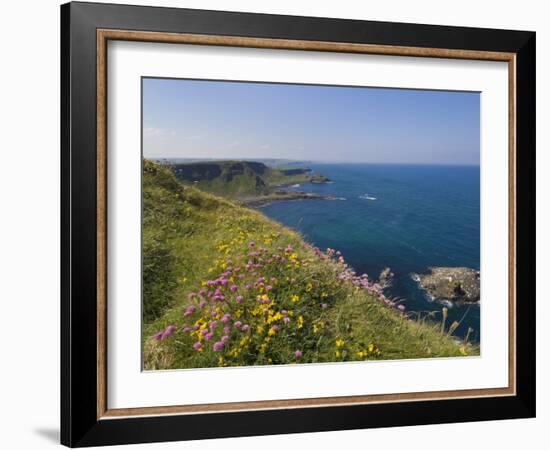 North Antrim Coast Path to the Giant's Causeway, County Antrim, Ulster, Northern Ireland, UK-Neale Clarke-Framed Photographic Print