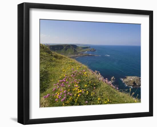 North Antrim Coast Path to the Giant's Causeway, County Antrim, Ulster, Northern Ireland, UK-Neale Clarke-Framed Photographic Print