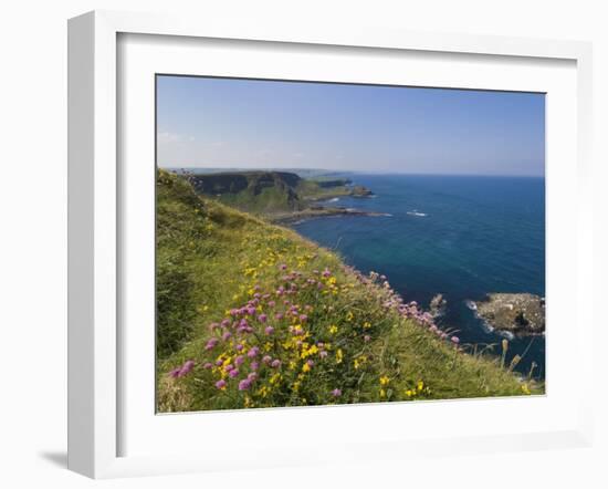 North Antrim Coast Path to the Giant's Causeway, County Antrim, Ulster, Northern Ireland, UK-Neale Clarke-Framed Photographic Print