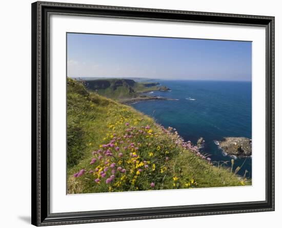 North Antrim Coast Path to the Giant's Causeway, County Antrim, Ulster, Northern Ireland, UK-Neale Clarke-Framed Photographic Print