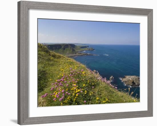 North Antrim Coast Path to the Giant's Causeway, County Antrim, Ulster, Northern Ireland, UK-Neale Clarke-Framed Photographic Print