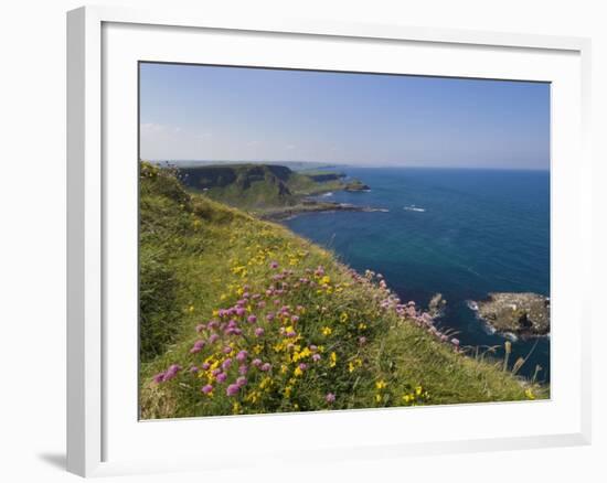 North Antrim Coast Path to the Giant's Causeway, County Antrim, Ulster, Northern Ireland, UK-Neale Clarke-Framed Photographic Print