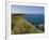 North Antrim Coast Path to the Giant's Causeway, County Antrim, Ulster, Northern Ireland, UK-Neale Clarke-Framed Photographic Print