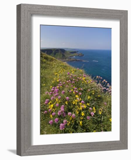 North Antrim Coast Path to the Giant's Causeway, County Antrim, Ulster, Northern Ireland, UK-Neale Clarke-Framed Photographic Print