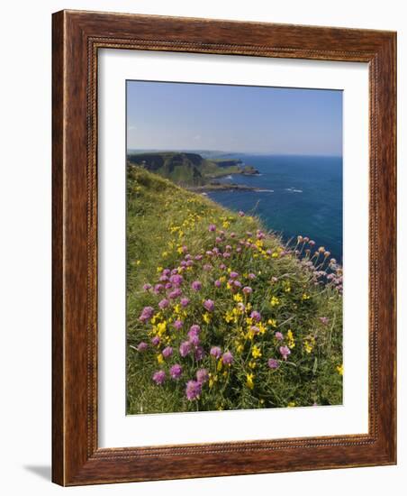 North Antrim Coast Path to the Giant's Causeway, County Antrim, Ulster, Northern Ireland, UK-Neale Clarke-Framed Photographic Print