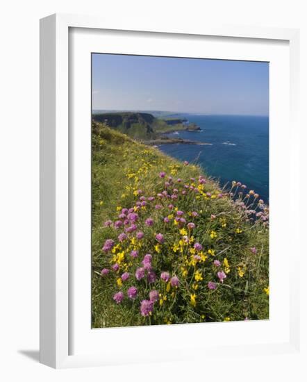 North Antrim Coast Path to the Giant's Causeway, County Antrim, Ulster, Northern Ireland, UK-Neale Clarke-Framed Photographic Print