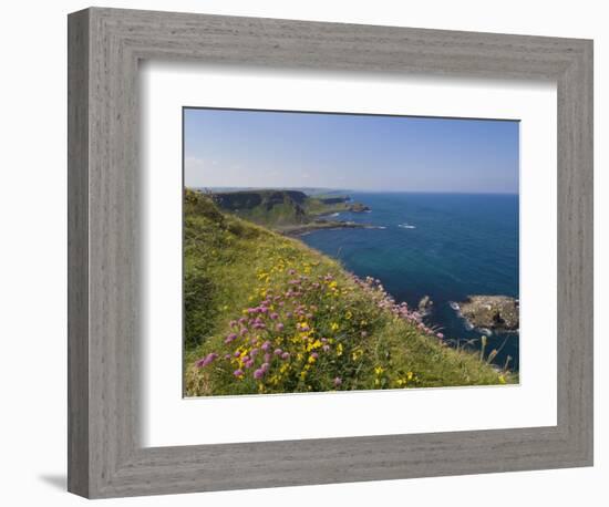 North Antrim Coast Path to the Giant's Causeway, County Antrim, Ulster, Northern Ireland, UK-Neale Clarke-Framed Photographic Print