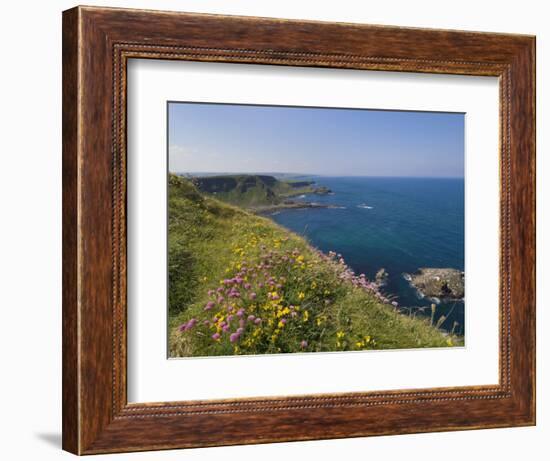 North Antrim Coast Path to the Giant's Causeway, County Antrim, Ulster, Northern Ireland, UK-Neale Clarke-Framed Photographic Print