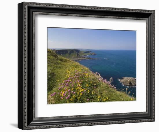 North Antrim Coast Path to the Giant's Causeway, County Antrim, Ulster, Northern Ireland, UK-Neale Clarke-Framed Photographic Print