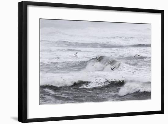 North Atlantic Coast Near Vik Y Myrdal During a Winter Storm with Heavy Gales-Martin Zwick-Framed Photographic Print