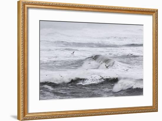 North Atlantic Coast Near Vik Y Myrdal During a Winter Storm with Heavy Gales-Martin Zwick-Framed Photographic Print