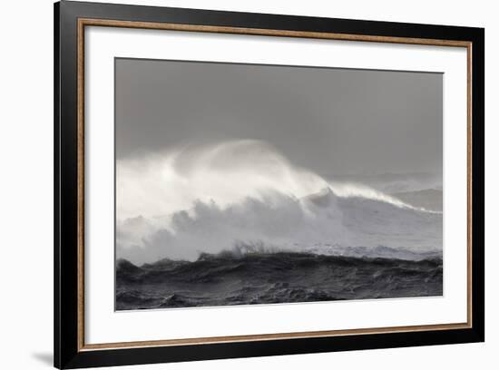 North Atlantic Coast Near Vik Y Myrdal During a Winter Storm with Heavy Gales-Martin Zwick-Framed Photographic Print