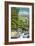 North Carolina - Bears and Creek-Lantern Press-Framed Art Print