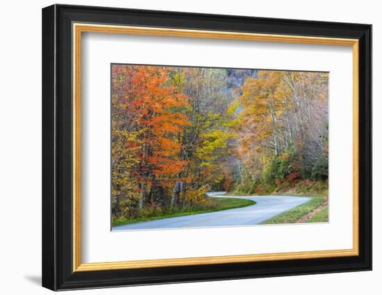 North Carolina, Blue Ridge Parkway, Boone Fork Area-Jamie & Judy Wild-Framed Photographic Print