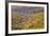 North Carolina, Blue Ridge Parkway-Jamie & Judy Wild-Framed Photographic Print