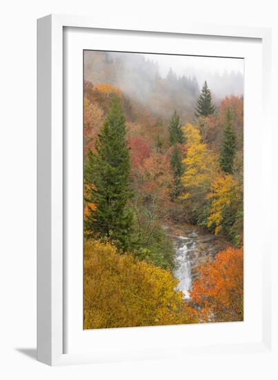 North Carolina, Bubbling Springs Falls. Autumn Scenic of the Falls-Don Paulson-Framed Photographic Print
