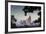 North Carolina, Charlotte, Elevated View of the City Skyline at Dusk-Walter Bibikow-Framed Photographic Print