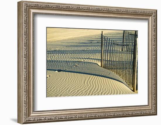 North Carolina. Dune Fence, Light, Shadow and Ripples in the Sand-Rona Schwarz-Framed Photographic Print