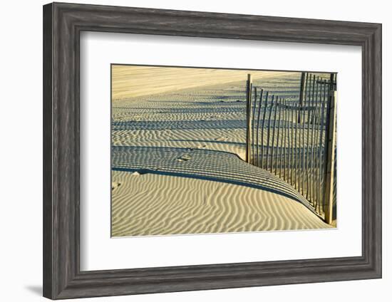 North Carolina. Dune Fence, Light, Shadow and Ripples in the Sand-Rona Schwarz-Framed Photographic Print