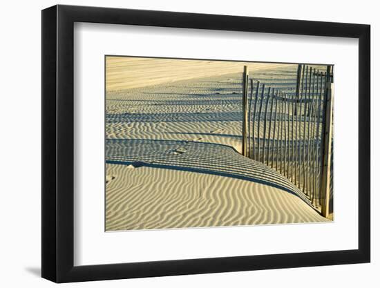 North Carolina. Dune Fence, Light, Shadow and Ripples in the Sand-Rona Schwarz-Framed Photographic Print