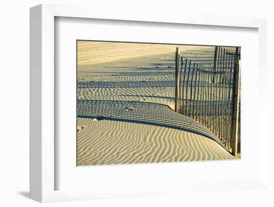 North Carolina. Dune Fence, Light, Shadow and Ripples in the Sand-Rona Schwarz-Framed Photographic Print