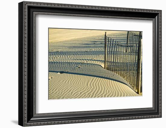 North Carolina. Dune Fence, Light, Shadow and Ripples in the Sand-Rona Schwarz-Framed Photographic Print